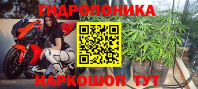 мяу мяу мука Обнинск