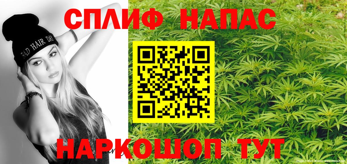 Конопля план  Бошки Шишки планчик  Тамбов  Бошки Шишки сатива  Вход с VPN 